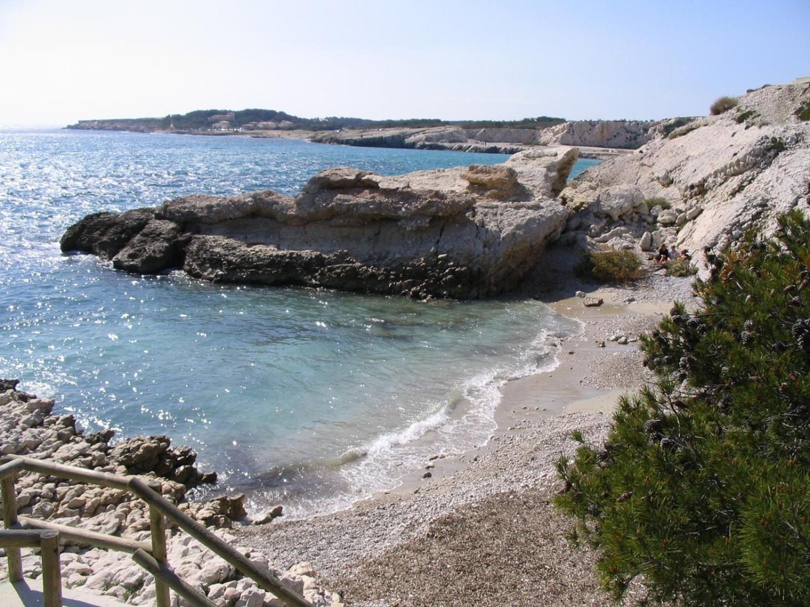 *Tiny Jungle* / Plage, Port Et Commerces A Pied Sausset-les-Pins Exterior foto